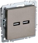 Розетка BRITE USB A+A 3.1А РЮ10-1-БрШ шампань IEK BR-U21-D31-K37 Розетка BRITE USB A+A 3.1А РЮ10-1-БрШ шампань IEK BR-U21-D31-K37